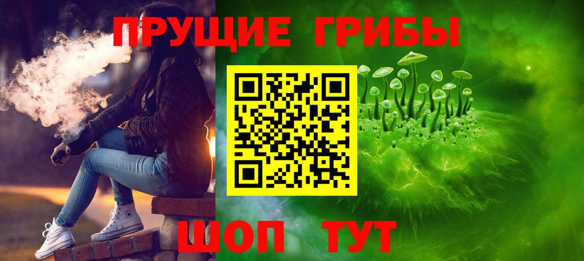 Сокол  Галлюциногенные грибы Magic Shrooms  Вход с VPN  Галлюциногенные грибы мухоморы 